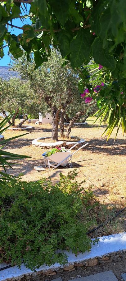 Elisso Villas Platis Gialos  Exterior foto